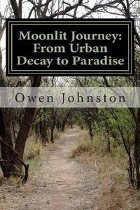 Moonlit Journey A Dimly Lit Quest Through Urban Decay