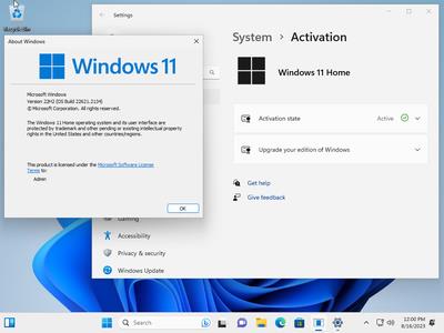 Windows 11 AIO 16in1 22H2 Build 22621.2134 (No TPM Required) Preactivated Multilingual August 2023 (x64)