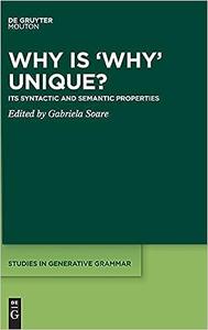 Why is ‘Why’ Unique Its Syntactic and Semantic Properties