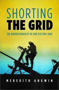 Shorting the Grid The Hidden Fragility of Our Electric Grid