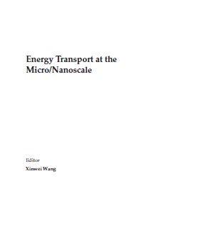 Energy Transport at the MicroNanoscale