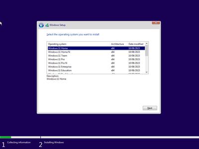 Windows 11 AIO 16in1 22H2 Build 22621.2134 (No TPM Required) Preactivated Multilingual August 2023 (x64)