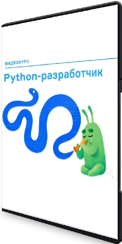 Слёрм - Python-разработчик (Леонид Крутовский) (2022) Видеокурс