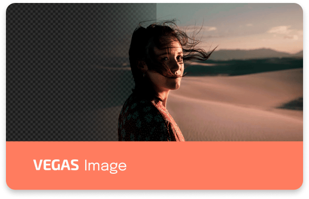 Vegas Image 5.0.0.0 (x64)