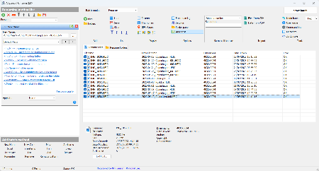 Advanced Renamer 3.89.2 Commercial Multilingual