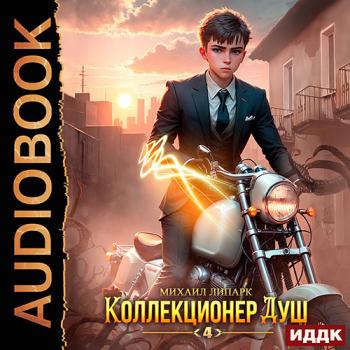 постер к Липарк Михаил - Коллекционер душ. Книга 4 (Аудиокнига)