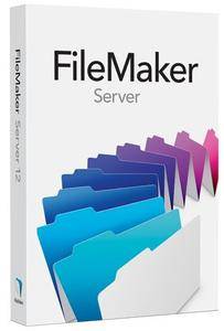 FileMaker Server 20.1.2.207 Multilingual (x64)