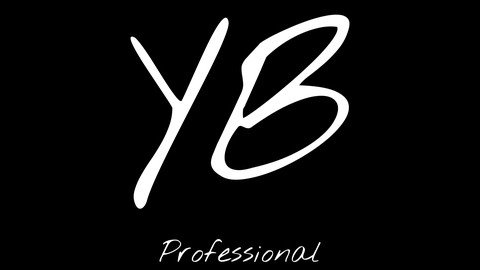 Yb Professional