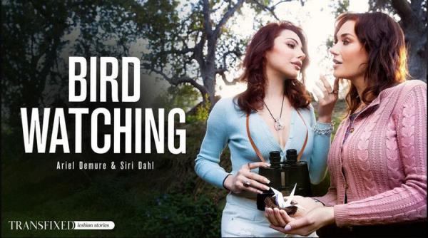 Transfixed/AdultTime: Siri Dahl, Ariel Demure(Bird Watching) (FullHD) - 2023