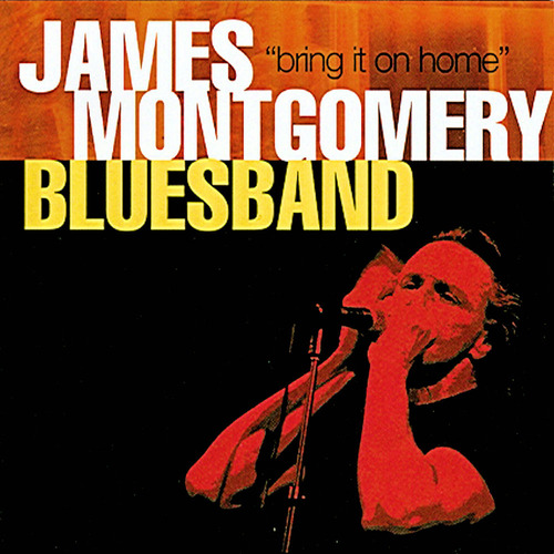 James Montgomery Blues Band - Bring It On Home (2001) [lossless]