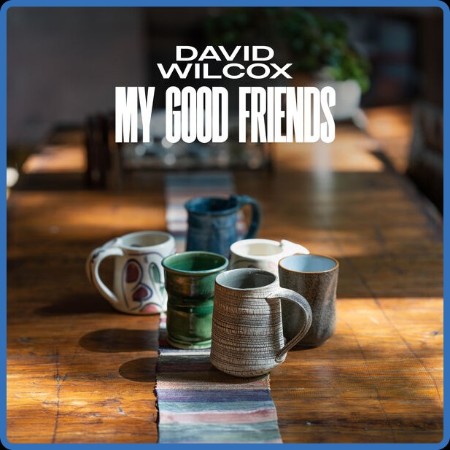 David Wilcox  My Good Friends 2023