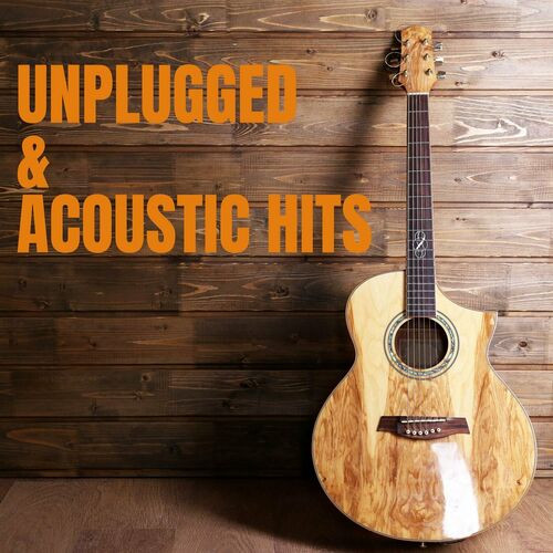 Unplugged & Acoustic Hits (2023)