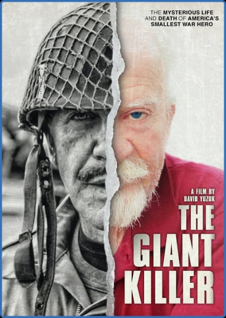 The Giant Killer (2017) 720p WEBRip x264 AAC-YTS