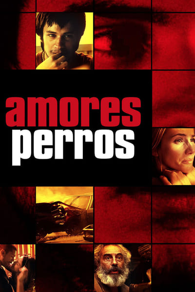 Amores Perros (2000) 720p BluRay [YTS] 92885542f982066e45e3d864e397e98f