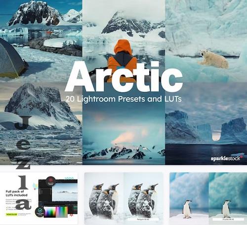 20 Arctic Lightroom Presets LUTs - 42176194