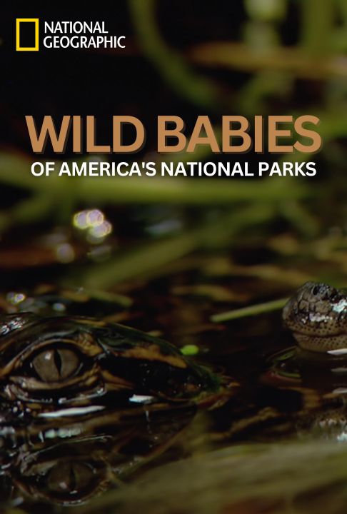 Dzikie maluchy z amerykańskich parków narodowych / Wild Babies of America's National Parks (2023) PL.1080i.HDTV.H264-B89 | POLSKI LEKTOR