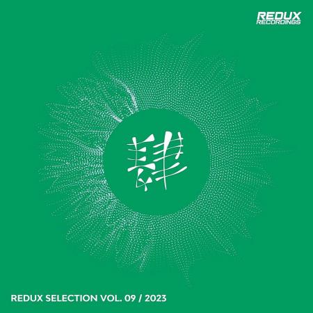 VA | Redux Selection, Vol. 9 / 2023 (2023) MP3