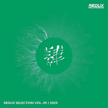 VA - Redux Selection, Vol. 9 / 2023 (2023) MP3