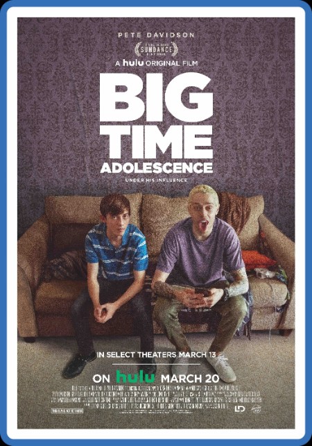 Big Time Adolescence 2019 1080p WEBRip x265-RARBG