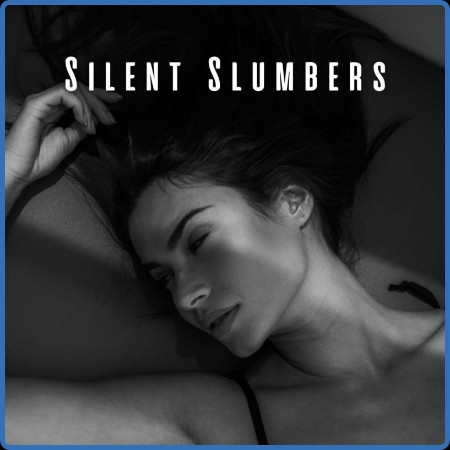 Various Frequencies / Voyager / The Sleep Music Dreamers  Silent Slumbers: Ambient...