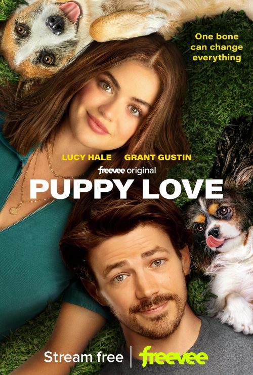 Szczenięca miłość / Puppy Love (2023) PL.WEB-DL.x264-KiT / Lektor PL