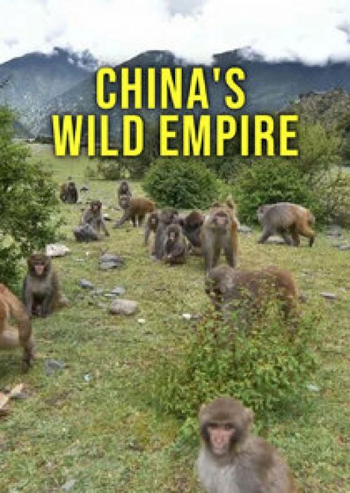 Dzikie królestwo Chin / China's Wild Empire (2023) [SEZON 1] PL.1080i.HDTV.H264-B89 | POLSKI LEKTOR