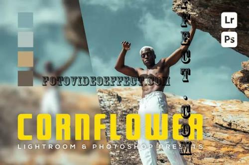 6 Cornflower Lightroom and Photoshop Presets - YJD3TYN