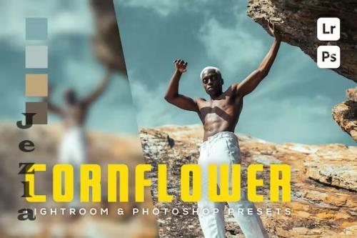 6 Cornflower Lightroom and Photoshop Presets - YJD3TYN