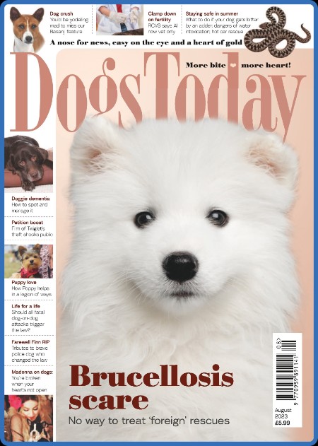 Dogs Today UK - August 2023 Aa999dc2055e0269db0a20e731ae6671