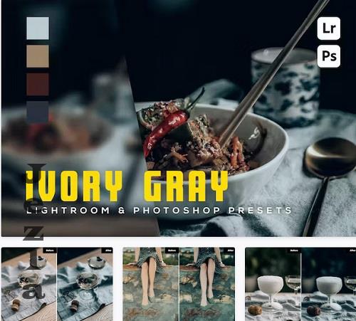 6 Ivory Gray Lightroom and Photoshop Presets - K54ZHX7
