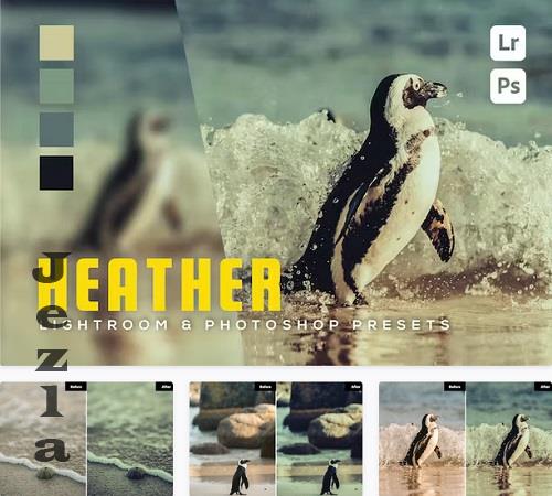 6 Heather Lightroom and Photoshop Presets - 3R86B5P