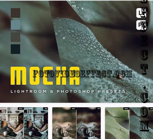 6 Mocha Lightroom and Photoshop Presets - ELT946Z