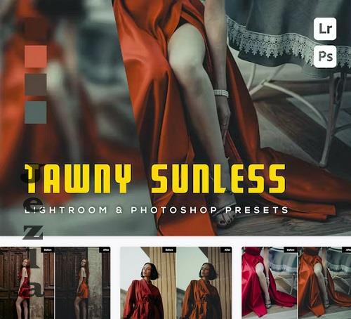 6 Tawny sunless Lightroom and Photoshop Presets - RHGRK7B