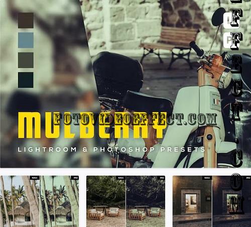 6 Mulberry Lightroom and Photoshop Presets - BJNU3G7