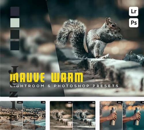 6 Mauve warm Lightroom and Photoshop Presets - 7KQES4S