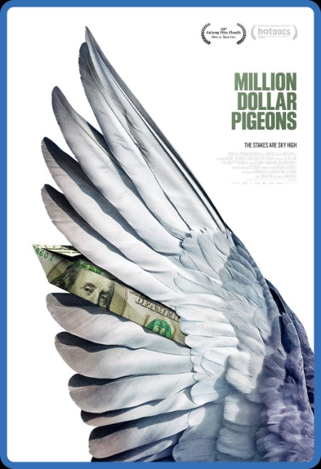 Million Dollar Pigeons (2022) 1080p BluRay YTS