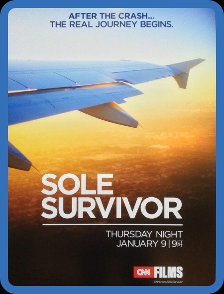 Sole Survivor (2013) 720p WEBRip x264 AAC-YTS