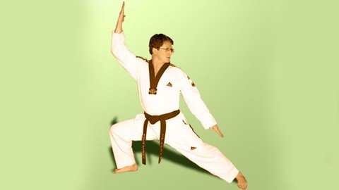 Taekwondo 16 Poomse – From White Belt To Black Belt 7Th Dan
