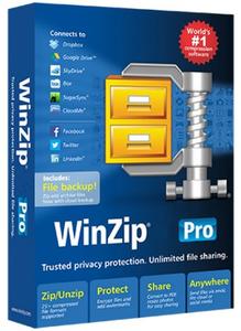 WinZip Pro 28.0 Build 15620 Multilingual (x64)