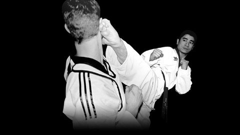 Taekwondo Kicks & Fight Techniques