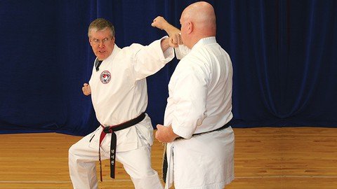 Mastering The Martial Arts 101 One–Step Sparring Techniques