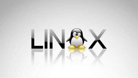 Linux Fundamentals For Bioinformatics – A Must–Have Skill For