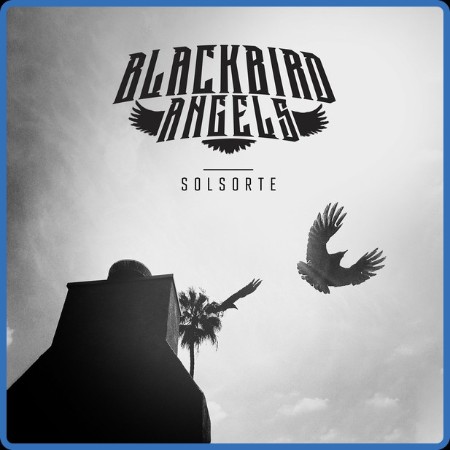 Blackbird Angels  Solsorte 2023