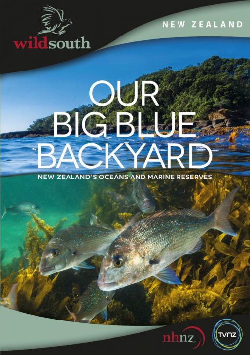 U wybrzeży Nowej Zelandii / Our Big Blue Backyard (2022) [SEZON 3] PL.1080i.HDTV.H264-B89 | POLSKI LEKTOR