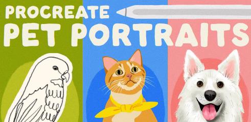 Procreate Pet Portraits 3 Playful Styles