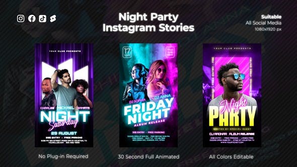 Videohive - Night Party Instagram Stories 47789945