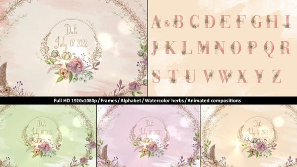 Videohive - Wedding Invitation Pack 2 36421493