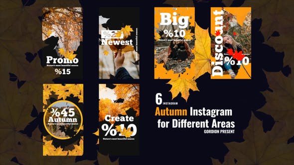 Videohive - Autumn Instagram Stories 47859896