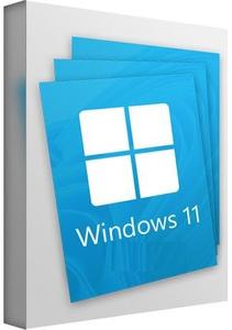 Windows 11 22H2 Build 22621.2283 Pro 3in1 OEM ESD en–US September 2023 Preactivated (x64)