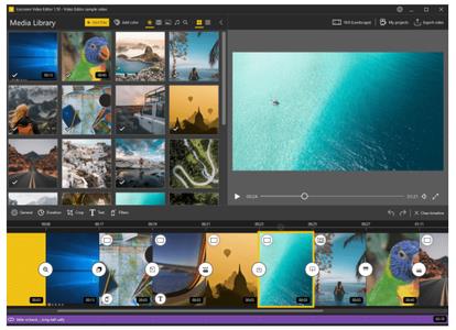 Icecream Video Editor Pro 3.07 Multilingual